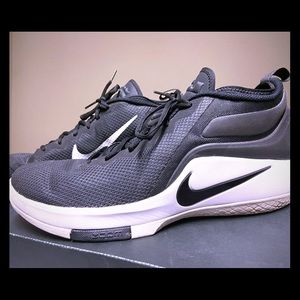 Nike Lebron Witness II